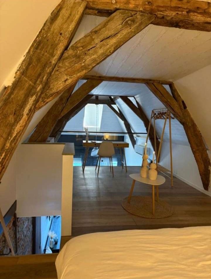 Appartement - photo